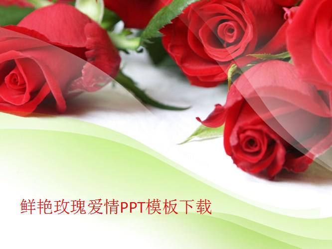 鲜艳玫瑰爱情PPT模板,PPT模板,素材免费下载