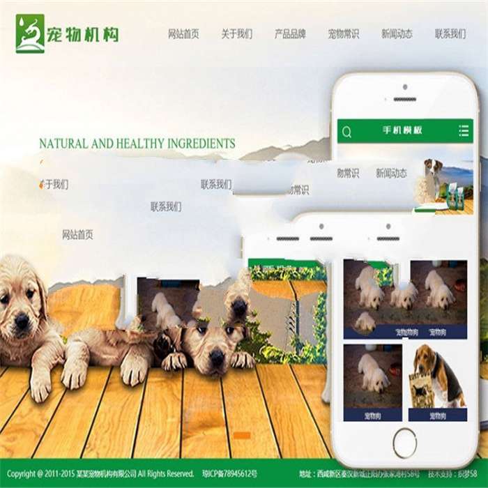 [精品源码]织梦dedecms绿色宠物机构网站模板(带手机移动端)