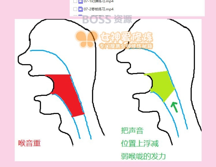 伪音伪声自学教程大全 男伪女 女伪男 声优配音练习-AT互联