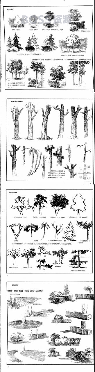 建筑画环境表现与技法 树木森林速写手绘画临摹参考素材-AT互联