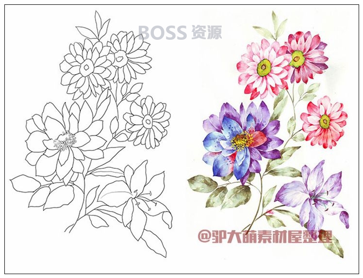 彩铅水彩手绘素材 鲜花花卉素材彩稿和线稿对照可打印填色-AT互联