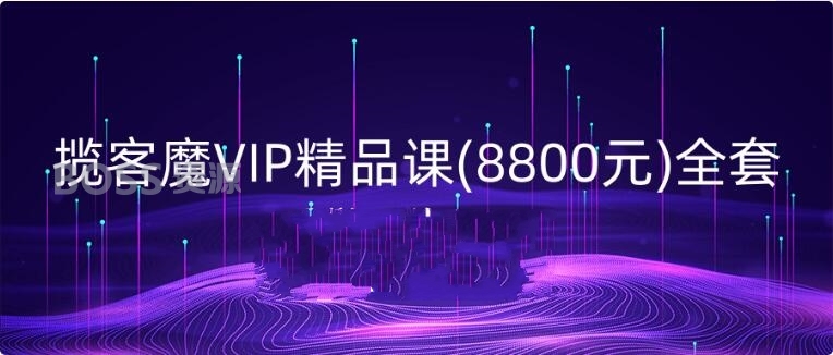 揽客魔VIP精品课(8800元)全套