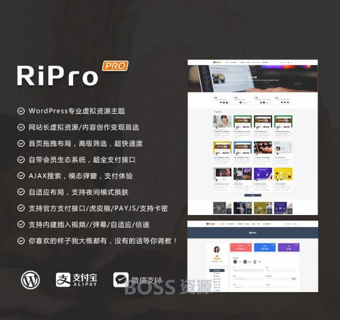 AT互联|WordPress主题 RiProV4.3.0破解去授权无限制版本_