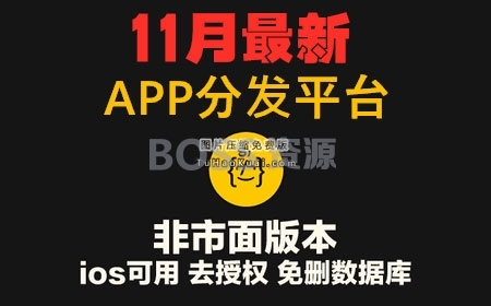 11月新版APP分发源码 支持封装仿fir.im分发APP应用分发托管平台运营版插图