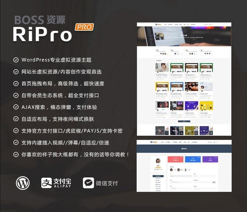 AT互联|WordPress主题RiPro v8.6 无限制版_