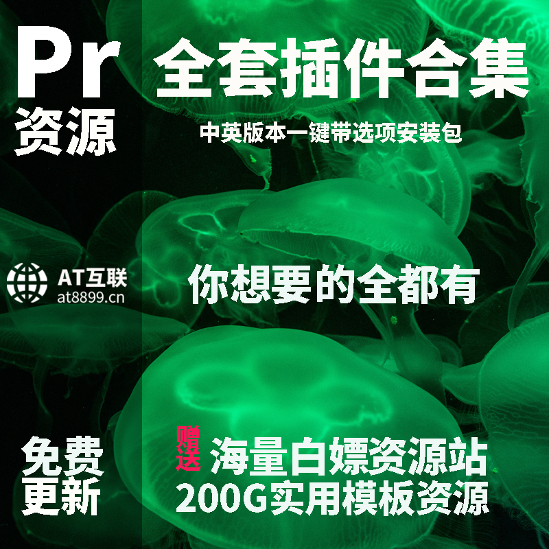 pr插件全套中英文一键安装包软件转场磨皮调色预设素材模板资源